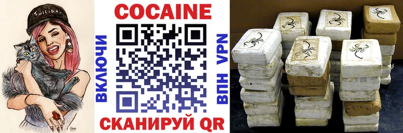 COCAIN FishScale  Купить где  Плёс 