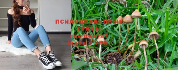 таблы Зеленокумск